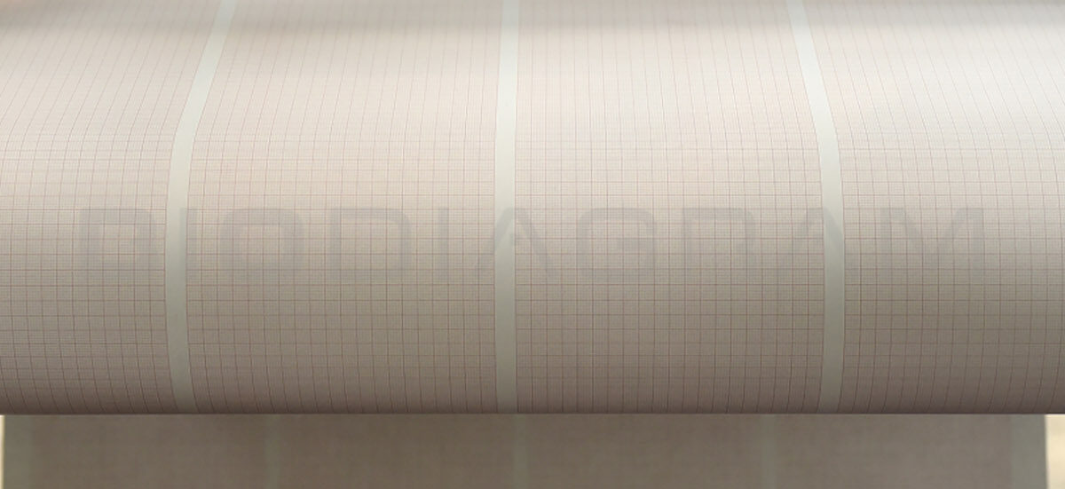 Produciamo la nostra carta