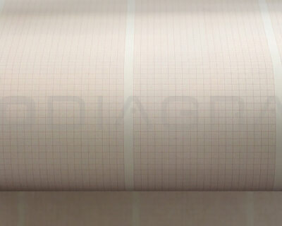 Produciamo la nostra carta